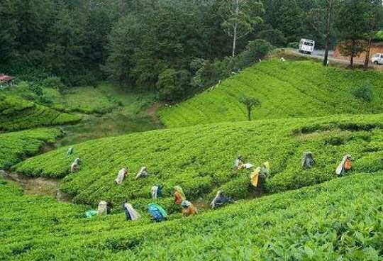ভ্রমণ পিয়াসীদের ভিন্ন আমেজ : জমে ওঠেছে এক্সেলসিওর সিলেট হোটেল এন্ড রিসোর্ট