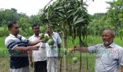 কৃষি খবর