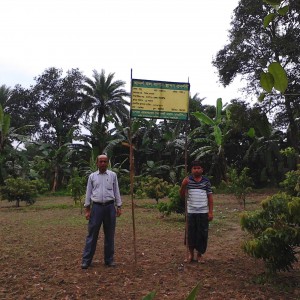 এনএটিপি-২ প্রকল্প